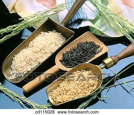 cereals, Close-up, ear, food, grain View Large Photo Image Stock Photo - cereals, Close-up, ear, food, grain. Fotosearch
