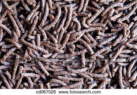 Stock Photograph - Cereals. Fotosearch