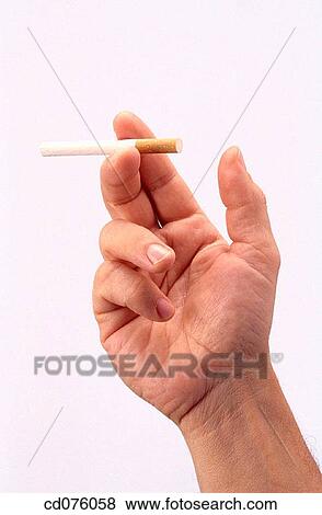 cigarette, Close-up, clipping path, addiction View Large Photo Image Stock Photo - cigarette, Close-up, clipping path, addiction. Fotosearch