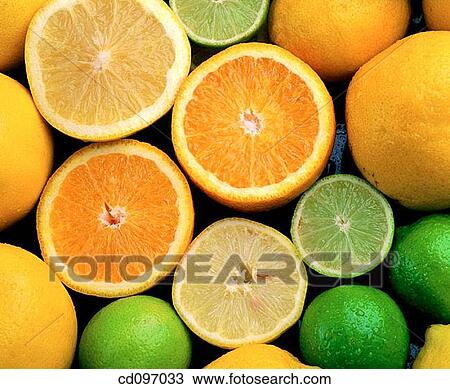 Citrus fruits View Large Photo Image Stock Image - Citrus fruits. Fotosearch