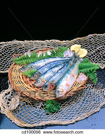 Close-up, cuisine, fish, food, fresh View Large Photo Image Stock Photograph - Close-up, cuisine, fish, food, fresh. Fotosearch