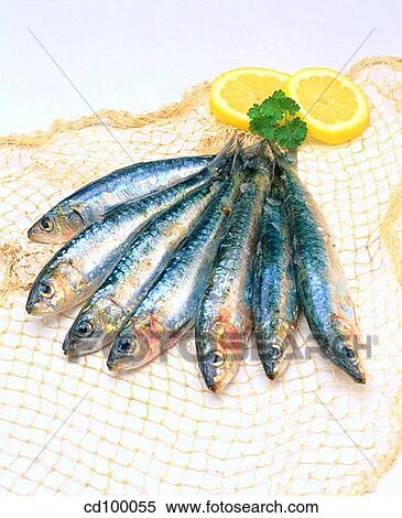 Close-up, cuisine, fish, food, fresh View Large Photo Image Stock Photography - Close-up, cuisine, fish, food, fresh. Fotosearch