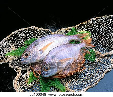 Close-up, cuisine, fish, food View Large Photo Image Stock Photo - Close-up, cuisine, fish, food. Fotosearch