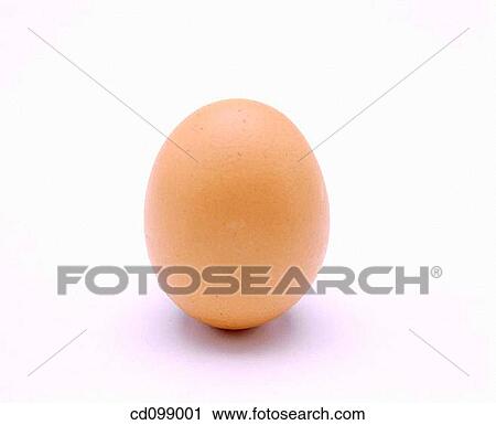 Stock Image - Close-up, egg, eggshell, food. Fotosearch