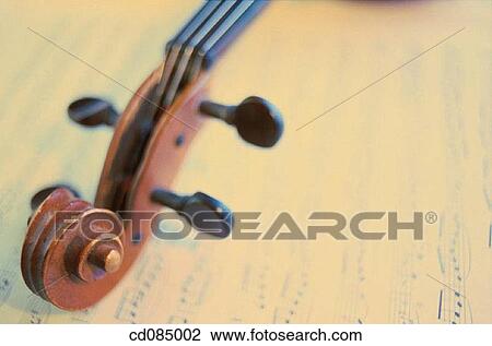 Close-up, elegance, detail, concept, art View Large Photo Image Stock Image - Close-up, elegance, detail, concept, art. Fotosearch