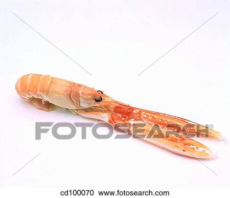 Close-up, food, indoors, interior View Large Photo Image Stock Image - Close-up, food, indoors, interior. Fotosearch