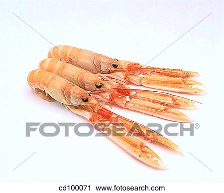 Close-up, food, indoors, interior View Large Photo Image Stock Image - Close-up, food, indoors, interior. Fotosearch