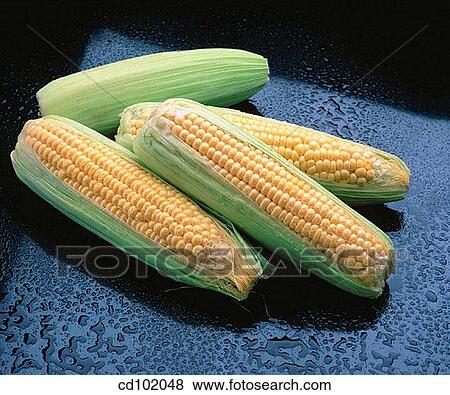 Corn View Large Photo Image Stock Photo - Corn. Fotosearch