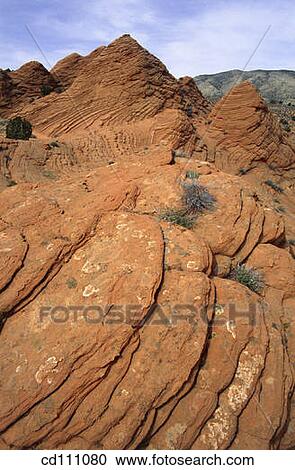 Coyote buttes. Paria Canyon-Vermilion Cliffs Wilderness. Arizona. USA View Large Photo Image Stock Image - Coyote buttes. Paria Canyon-Vermilion Cliffs Wilderness. Arizona. USA. Fotosearch