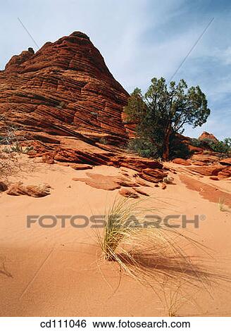 Stock Photograph - Coyote buttes. Paria Canyon-Vermilion Cliffs Wilderness. Arizona. USA. Fotosearch