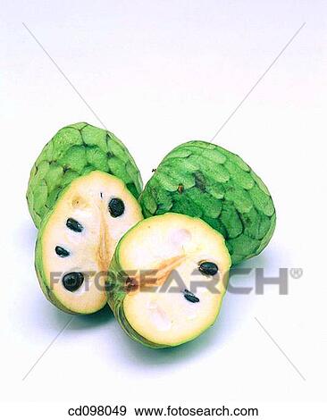 Custard apples View Large Photo Image Stock Photo - Custard apples. Fotosearch
