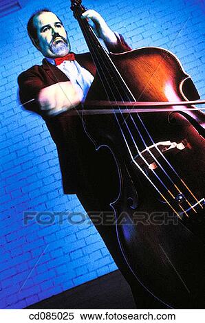 Double bass View Large Photo Image Stock Photography - Double bass. Fotosearch