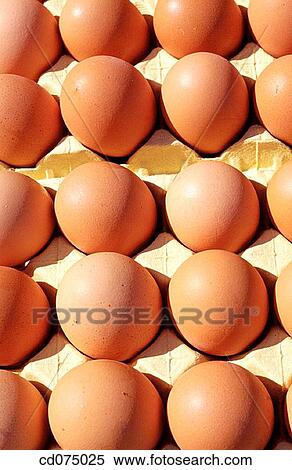 Eggs View Large Photo Image Stock Photography - Eggs. Fotosearch