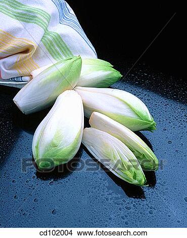 Endives View Large Photo Image Picture - Endives. Fotosearch