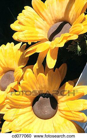 Fake Sunflowers View Large Photo Image Stock Image - Fake Sunflowers. Fotosearch