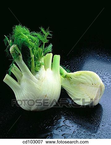 Fennel View Large Photo Image Stock Photo - Fennel. Fotosearch