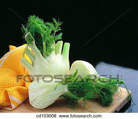 Stock Photo - Fennel. Fotosearch