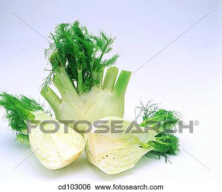 Stock Photograph - Fennel. Fotosearch