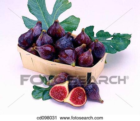 Stock Image - Figs. Fotosearch