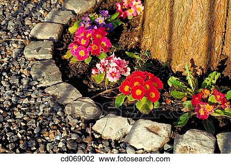 Flowers View Large Photo Image Stock Image - Flowers. Fotosearch