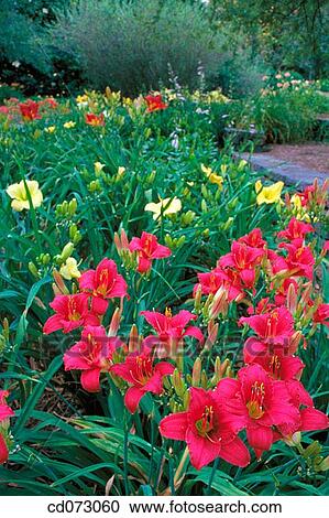 Garden View Large Photo Image Stock Image - Garden. Fotosearch