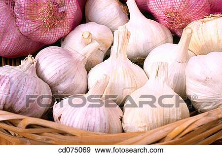 Garlic View Large Photo Image Stock Photo - Garlic. Fotosearch