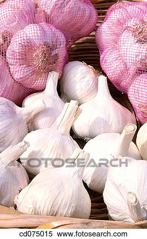 Garlic View Large Photo Image Stock Photography - Garlic. Fotosearch