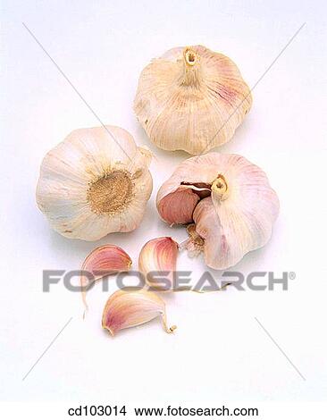 Garlics View Large Photo Image Picture - Garlics. Fotosearch