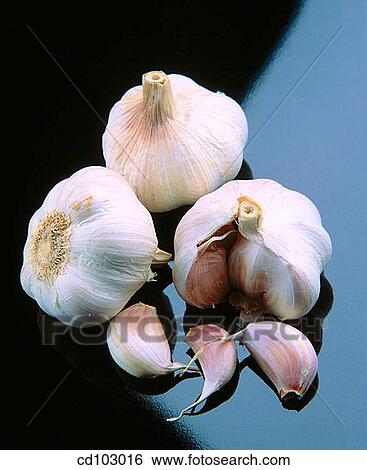 Stock Photograph - Garlics. Fotosearch