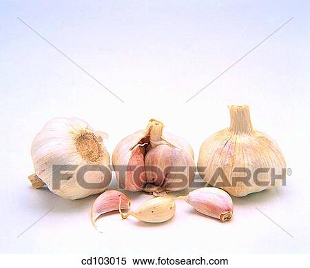 Garlics View Large Photo Image Stock Photography - Garlics. Fotosearch