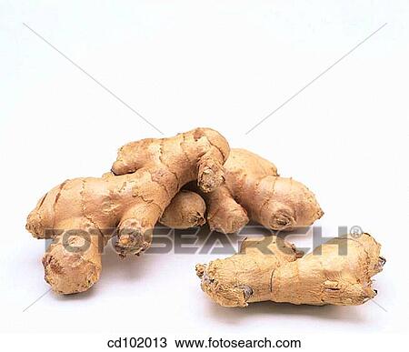 Ginger View Large Photo Image Stock Image - Ginger. Fotosearch