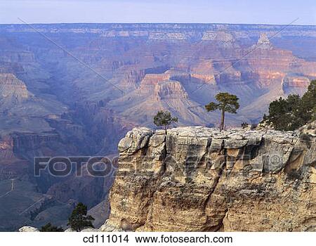 Grand Canyon National Park. Utah. USA View Large Photo Image Picture - Grand Canyon National Park. Utah. USA. Fotosearch