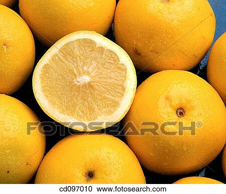 Grapefruits View Large Photo Image Stock Image - Grapefruits. Fotosearch