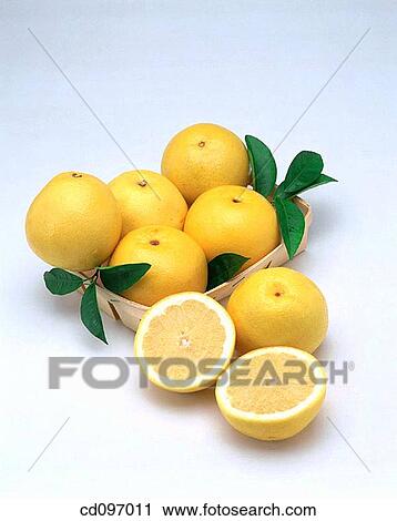 Grapefruits View Large Photo Image Stock Image - Grapefruits. Fotosearch