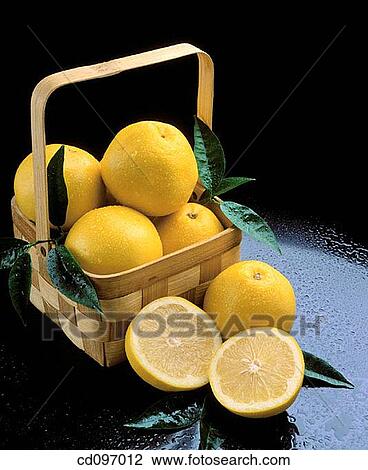 Grapefruits View Large Photo Image Stock Image - Grapefruits. Fotosearch