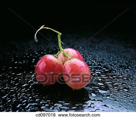 Stock Photo - Grapes. Fotosearch