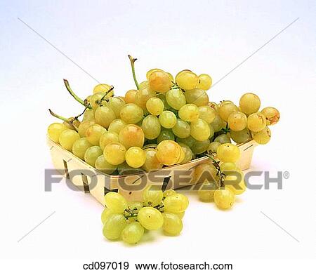 Grapes View Large Photo Image Stock Photo - Grapes. Fotosearch