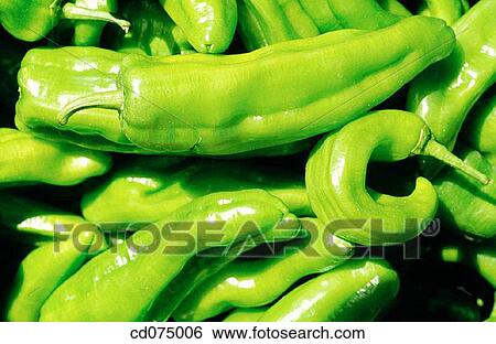Green peppers View Large Photo Image Stock Photograph - Green peppers. Fotosearch