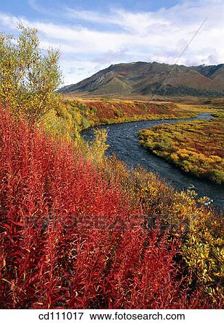 Klondike River and Ogilvie Mountains in fall colours. Yukon. Canada View Large Photo Image Stock Photo - Klondike River and Ogilvie Mountains in fall colours. Yukon. Canada. Fotosearch