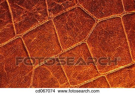 Leather View Large Photo Image Picture - Leather. Fotosearch