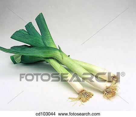 Leeks View Large Photo Image Picture - Leeks. Fotosearch