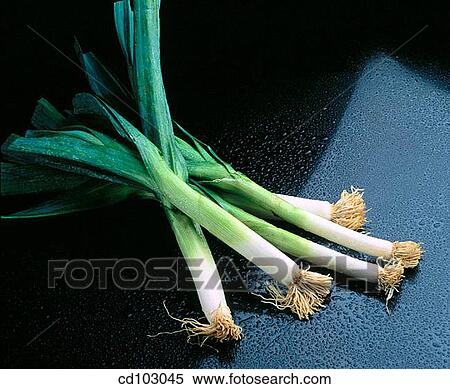 Stock Photography - Leeks. Fotosearch