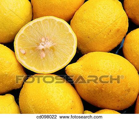 Lemons View Large Photo Image Stock Image - Lemons. Fotosearch