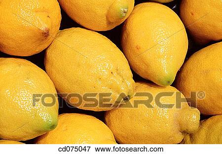 Lemons View Large Photo Image Stock Photo - Lemons. Fotosearch