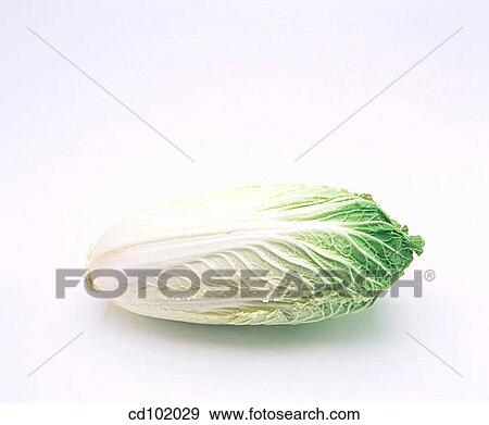 Stock Photo - Lettuce. Fotosearch