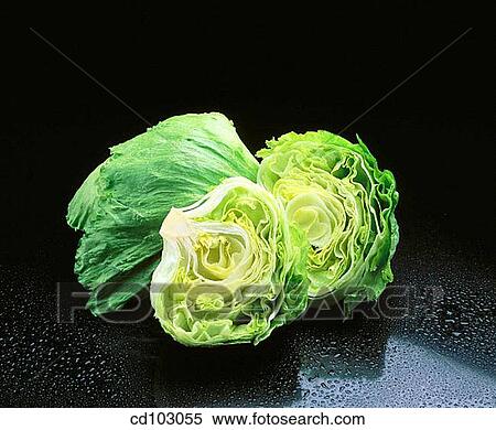 Lettuces View Large Photo Image Stock Photography - Lettuces. Fotosearch