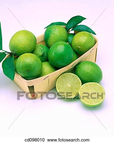 Limes View Large Photo Image Stock Image - Limes. Fotosearch