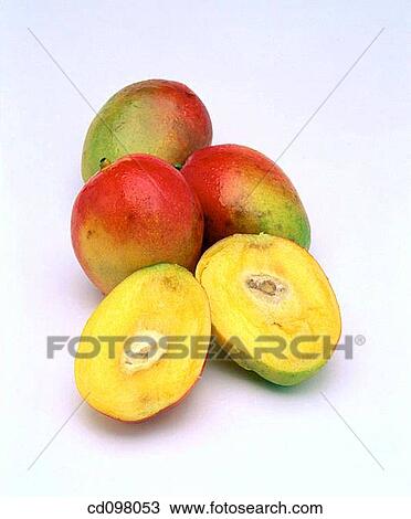 Mangos View Large Photo Image Stock Image - Mangos. Fotosearch
