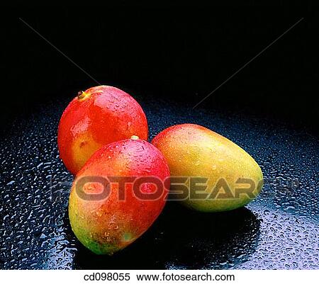 Mangos View Large Photo Image Stock Photography - Mangos. Fotosearch