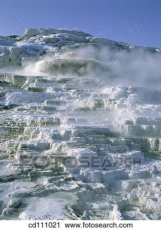 Minerva Terraces. Mammoth Hot Springs. Yellowstone National Park. Wyoming. USA View Large Photo Image Stock Image - Minerva Terraces. Mammoth Hot Springs. Yellowstone National Park. Wyoming. USA. Fotosearch